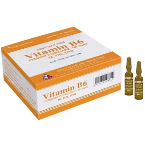 Thuốc tiêm Vitamin B6 100Mg/Ml Vinphaco điều trị thiếu vitamin B6, nhiễm độc thai nghén, bệnh Parkinson (100 ống x 1ml)