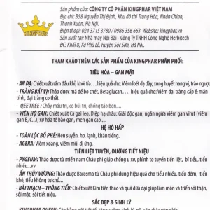 Viên uống T.Đ Kingphar dùng cho người bị tiểu đường (40 viên)