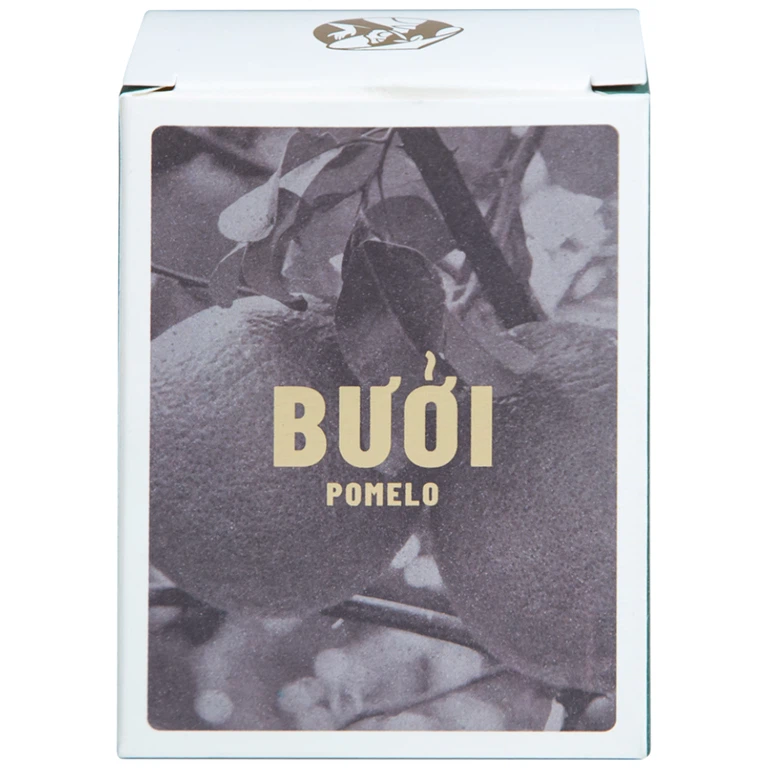 Nước dưỡng tóc tinh dầu bưởi Cocoon giảm gãy rụng và làm mềm tóc (140ml)