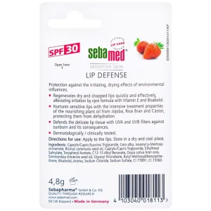 Son dưỡng bảo vệ môi hương dâu Sebamed Lip Defense (4,8g)