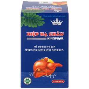 Viên uống Diệp Hạ Châu Kingphar hỗ trợ bảo vệ gan, tăng cường chức năng gan (60 viên)