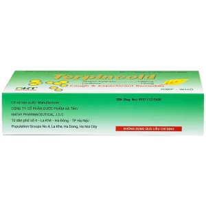 Thuốc Terpincold Hataphar giúp giảm triệu chứng ho, long đờm (2 vỉ x 15 viên)