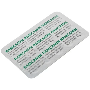 Thuốc Ramcamin Medisun hỗ trợ điều trị tuần hoàn não, suy giảm trí nhớ (6 vỉ x 10 viên)