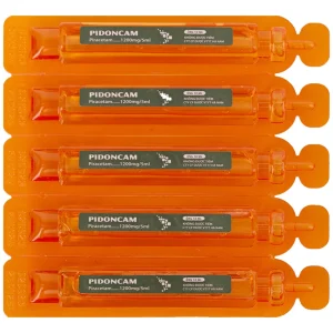 Thuốc Pidoncam 1200mg/5ml Hà Nam điều trị triệu chứng chóng mặt, suy giảm trí nhớ (20 ống x 10ml)