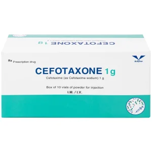 Bột pha tiêm Cefotaxone 1g Bidiphar điều trị các bệnh nhiễm khuẩn nặng (10 lọ)