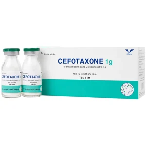Bột pha tiêm Cefotaxone 1g Bidiphar điều trị các bệnh nhiễm khuẩn nặng (10 lọ)