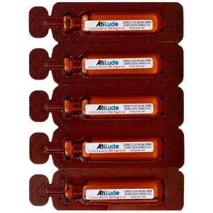 Dung dịch uống AtiLude 250mg/5ml An Thiên tiêu nhầy, rối loạn đường hô hấp (6 vỉ x 5 ống x 5ml)