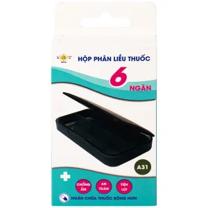 Hộp phân liều thuốc 6 ngăn A31 Duy Thành màu xanh