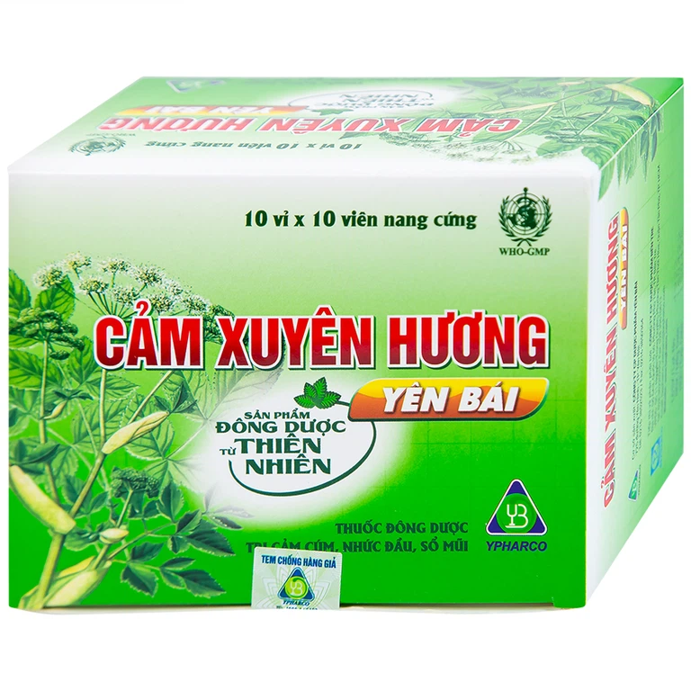 Thuốc Cảm Xuyên Hương Yên Bái điều trị cảm cúm, cảm lạnh (10 vỉ x 10 viên)