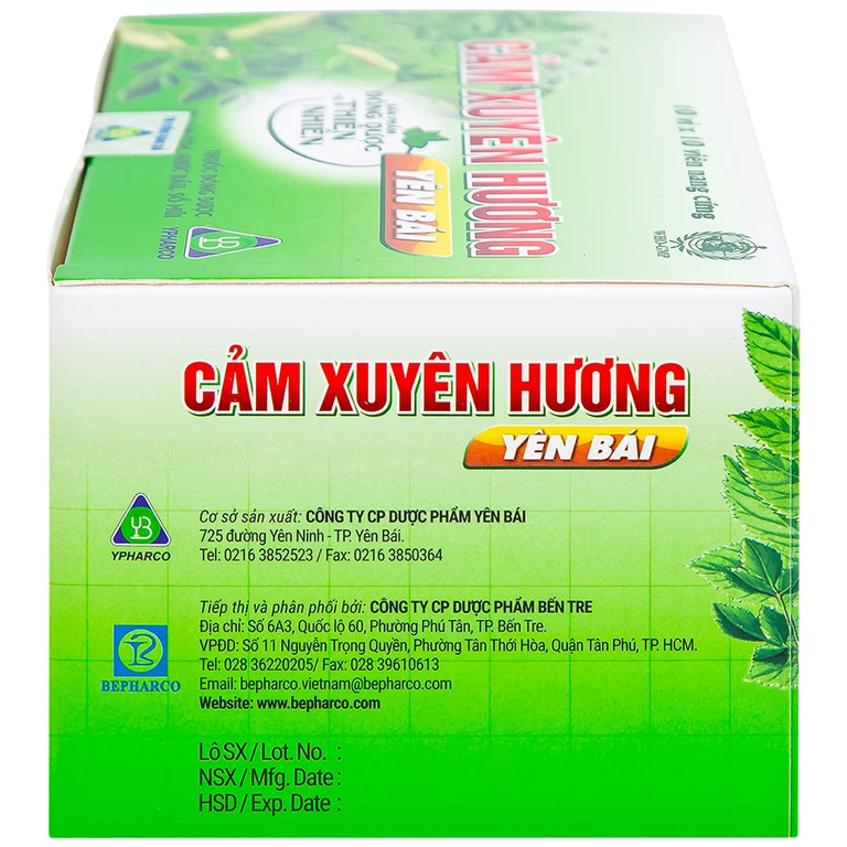 Thuốc Cảm Xuyên Hương Yên Bái điều trị cảm cúm, cảm lạnh (10 vỉ x 10 viên)