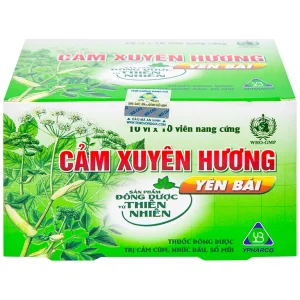 Thuốc Cảm Xuyên Hương Yên Bái điều trị cảm cúm, cảm lạnh (10 vỉ x 10 viên)
