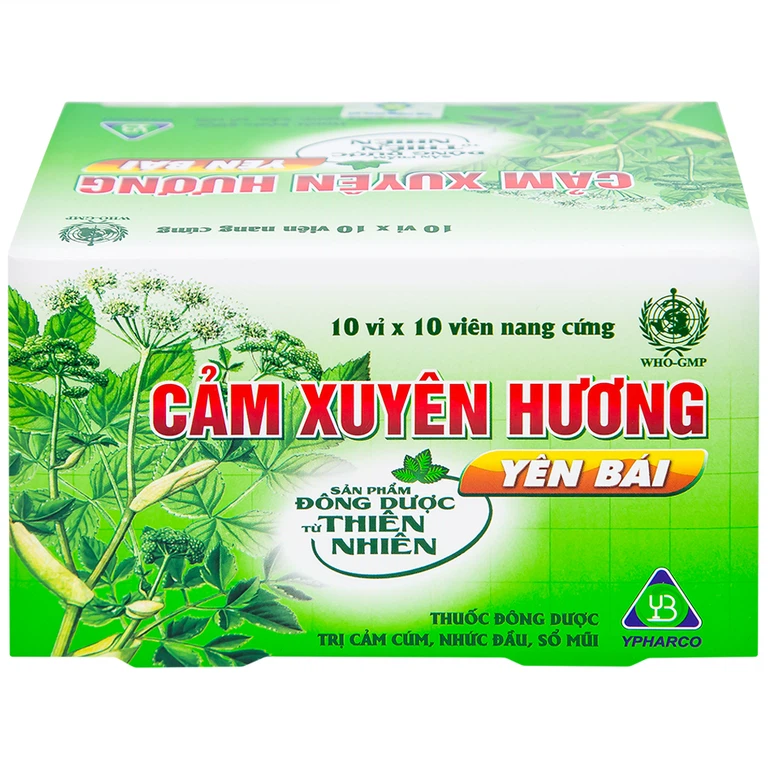 Thuốc Cảm Xuyên Hương Yên Bái điều trị cảm cúm, cảm lạnh (10 vỉ x 10 viên)
