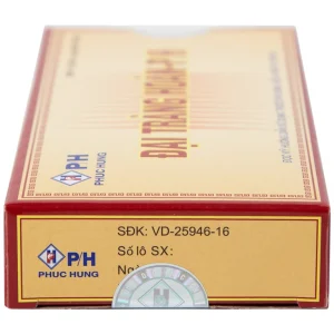 Thuốc Đại Tràng Hoàn-P/H điều trị viêm đại tràng cấp và mãn tính (10 gói x 4g)