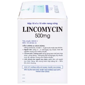 Thuốc Lincomycin 500mg Vidipha điều trị nhiễm khuẩn tai mũi họng, phế quản, phổi (10 vỉ x 10 viên)