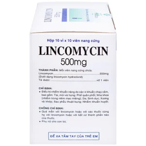 Thuốc Lincomycin 500mg Vidipha điều trị nhiễm khuẩn tai mũi họng, phế quản, phổi (10 vỉ x 10 viên)