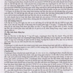 Thuốc Noklot 75mg Zydus phòng ngừa biến cố xơ vữa động mạch (3 vỉ x 10 viên)