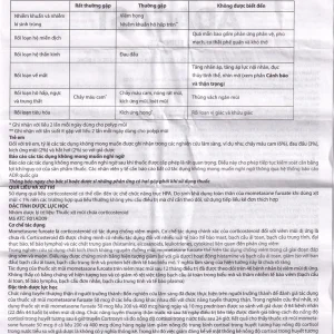 Thuốc xịt mũi Adacast Meraplion điều trị viêm mũi dị ứng, sung huyết và mất mùi, viêm mũi xoang (60 liều)