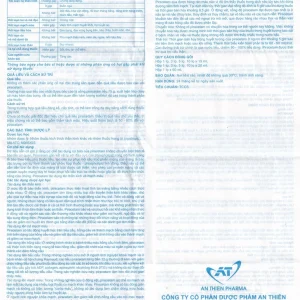 Dung dịch tiêm truyền A.T Cetam 200mg/ml An Thiên điều trị triệu chứng của hội chứng tâm thần (60ml)