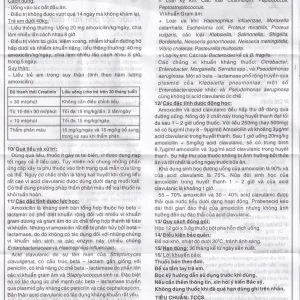 Bột Auclanityl 250/31.25mg Tipharco điều trị nhiễm khuẩn (12 gói x 3,8g)