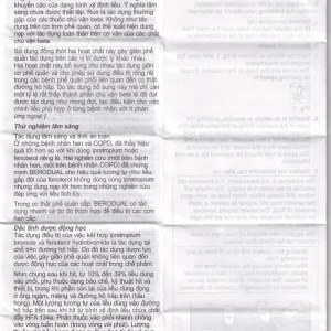 Dung dịch Berodual Boehringer hỗ trợ giãn phế quản (10ml)