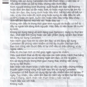 Viên đặt âm đạo Canesten 1 Day 500mg Bayer điều trị viêm âm đạo và cơ quan sinh dục ngoài (1 vỉ x 1 viên)