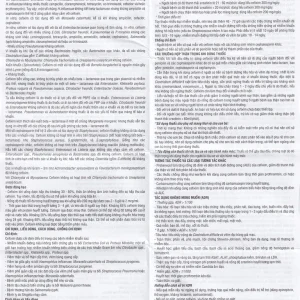 Thuốc Cefixime 200mg Tv.Pharma điều trị các bệnh nhiễm khuẩn đường niệu, viêm thận (2 vỉ x 10 viên)