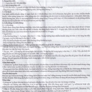 Bột pha tiêm Cefotaxone 1g Bidiphar điều trị các bệnh nhiễm khuẩn nặng (10 lọ)