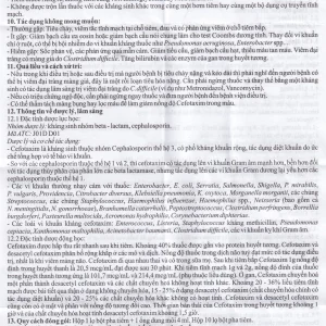 Bột pha tiêm Cefotaxone 1g Bidiphar điều trị các bệnh nhiễm khuẩn nặng (10 lọ)
