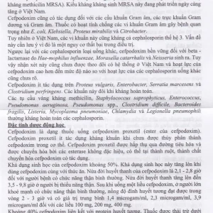Bột pha hỗn dịch uống Cefpodoxim 100-HV USP điều trị nhiễm khuẩn (10 gói x 3g)