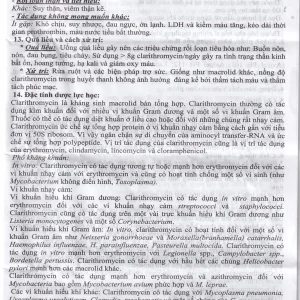 Thuốc Clarithromycin 500mg Quapharco điều trị nhiễm khuẩn đường hô hấp (2 vỉ x 5 viên)