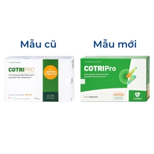 Viên uống Cotripro Thái Minh hỗ trợ tăng sức bền thành mạch, giảm triệu chứng của trĩ (2 vỉ x 10 viên)