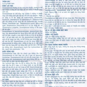Kem bôi da Dexamethasone/Chloramphenicol điều trị chàm, vết côn trùng cắn, viêm da tiếp xúc (8g)