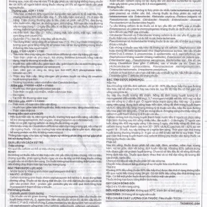 Thuốc Imexime 200 Imexpharm điều trị nhiễm khuẩn đường tiết niệu, viêm thận - bể thận (2 vỉ x 10 viên)