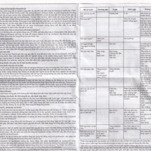 Dịch tiêm truyền Levofloxacin Kabi 100ml Fresenius Kabi điều trị nhiễm khuẩn, viêm phổi