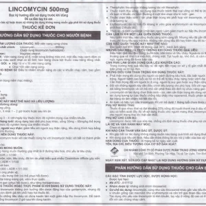 Thuốc Lincomycin 500mg Vidipha điều trị nhiễm khuẩn tai mũi họng, phế quản, phổi (10 vỉ x 10 viên)