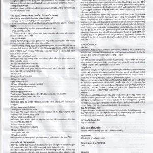 Thuốc SaVi Gemfibrozil 600 điều trị rối loạn mỡ máu (6 vỉ x 10 viên)