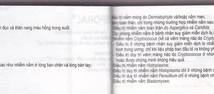 Thuốc Sporal Janssen điều trị các bệnh nấm phụ khoa, da, toàn thân (1 vỉ x 4 viên)