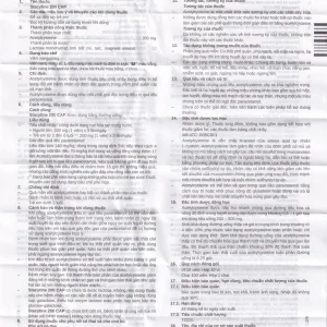 Thuốc Stacytine 200 CAP Stella điều trị long đờm trong viêm phế quản (10 vỉ x 10 viên)