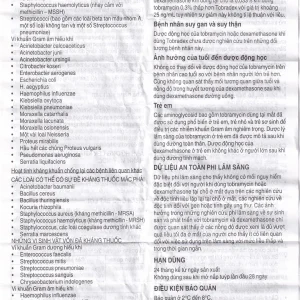 Thuốc mỡ tra mắt TobraDex Alcon điều trị viêm và nhiễm khuẩn (3,5g)