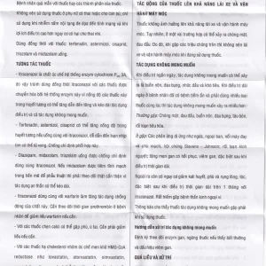 Thuốc Trifungi Pymepharco điều trị nhiễm nấm Candida ở miệng - họng (1 vỉ x 4 viên)