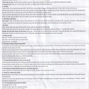 Thuốc Usarmicin Tablets 500 UsarichPharm điều trị nhiễm khuẩn đường tiết niệu (2 vỉ x 10 viên)