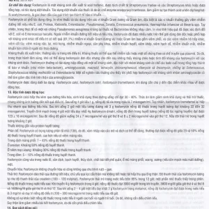 Thuốc Usarmicin Tablets 500 UsarichPharm điều trị nhiễm khuẩn đường tiết niệu (2 vỉ x 10 viên)