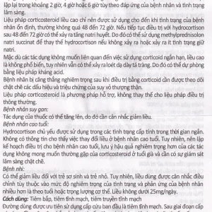 Thuốc tiêm Vinphason 100mg Vinphaco điều trị lupus ban đỏ hệ thống, hồng ban đa dạng nặng (1 lọ + 1 ống)