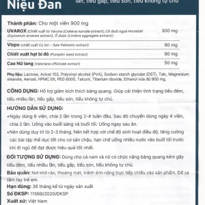 Viên nén Vương Niệu Đan Thái Minh hỗ trợ giảm tình trạng tiểu đêm, tiểu nhiều lần, tiểu gấp (80 viên)