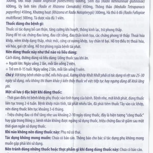 Thuốc Xương Khớp Nhất Nhất điều trị các chứng đau lưng, đau cột sống (2 vỉ x 10 viên)