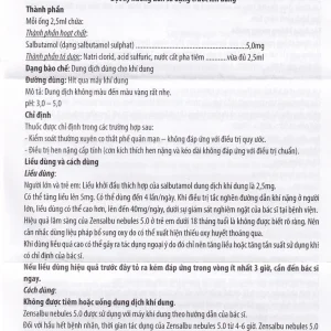 Thuốc Zensalbu 5mg CPC1HN kiểm soát co thắt phế quản mạn, điều trị hen nặng cấp tính (2 vỉ x 5 ống)