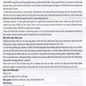 Thuốc Zensalbu 2.5mg CPC1HN kiểm soát co thắt phế quản mạn, điều trị hen nặng cấp tính (2 vỉ x 5 ống)