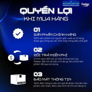 Feelex Oyster GP (Hộp 60 Viên) - Hỗ Trợ Tăng Cường Sinh Lực & Sinh Lý Nam