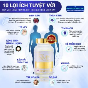 Viên Uống NMN 18000+ Kousa Hàn Quốc (Hộp 90 Viên) - Hỗ Trợ Trẻ Hóa Da & Sức Khỏe