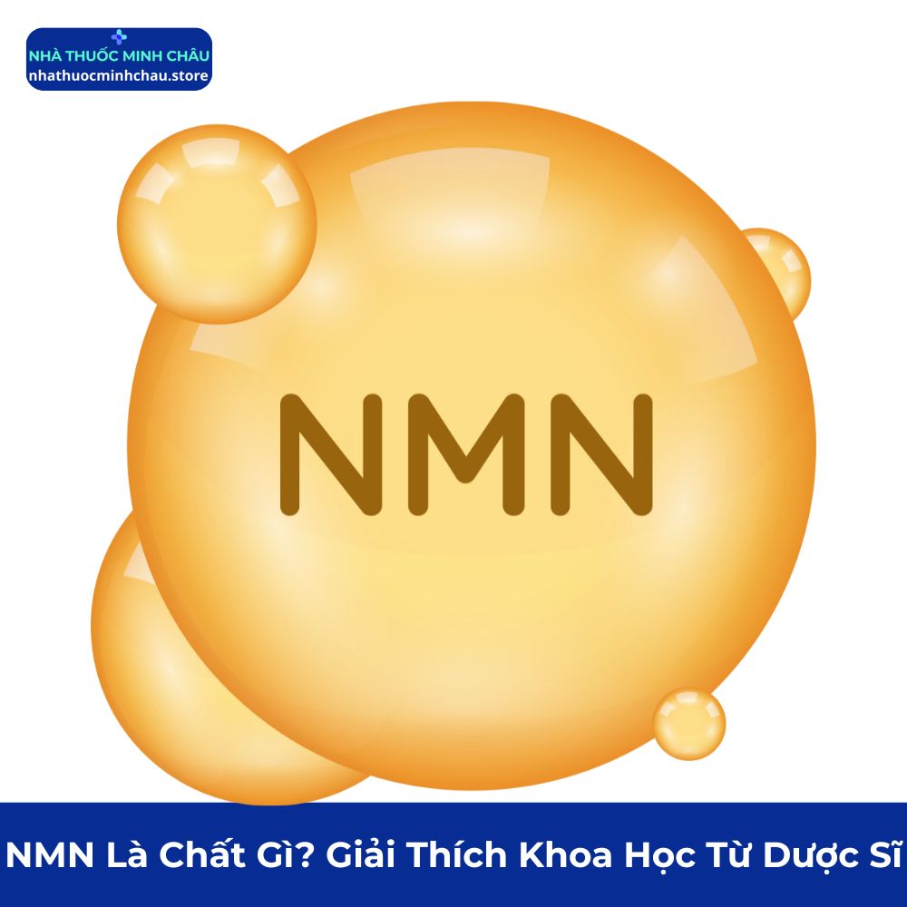 NMN Là Chất Gì? Giải Thích Khoa Học Từ Dược Sĩ Nhà Thuốc Minh Châu